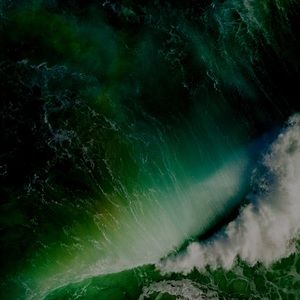 Meet your Posher, Adrinne